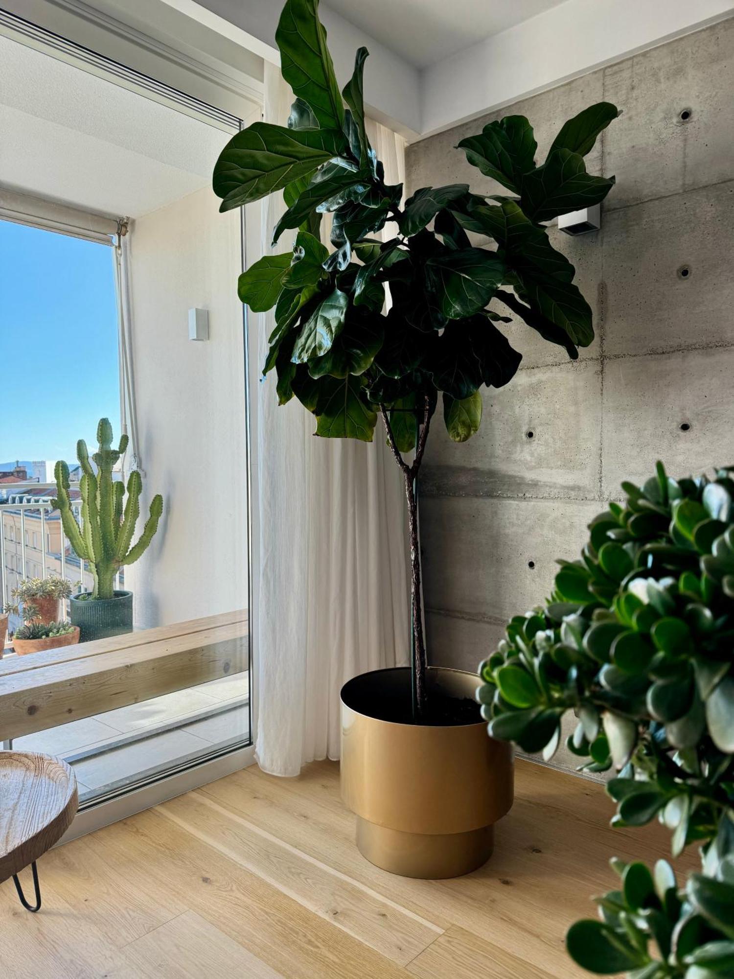 D'Art Penthouse Apartment Split Bagian luar foto